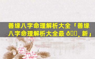 善缘八字命理解析大全「善缘八字命理解析大全最 🌸 新」